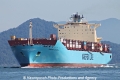 Maersk Laguna RV-270512-05.jpg