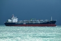 Savvy OS-091024-02.jpg