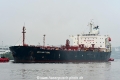 Sea Halcyone (KB-D190517-01).jpg