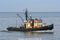 Kormoran JG-071026-2.jpg