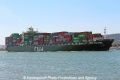 Ital Fulgida RV-281112-02.jpg