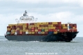 JPO Libra SH-060724-01.jpg
