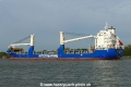 Industrial Swift (OK-250924-1).jpg