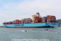 Maersk Luz RV-081112-17.jpg