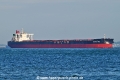 Shinas Max OS-101125-1.jpg