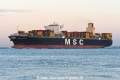 MSC Daniela JG-111024-2.jpg