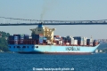 Maersk Luz (OK-100814-4).jpg