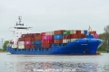 Panda 002 (OK-180425-0).jpg