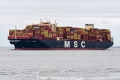 MSC Fatma JG-240225-02.jpg