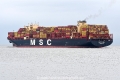 MSC Fatma JG-240225-04.jpg