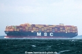 MSC Fatma (MS-100424-07).jpg