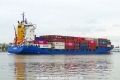Panda 002 (OK-180425-2).jpg