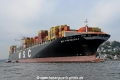 MSC Francesca 041010-16.jpg