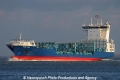 Page Akia SH-031113-01.jpg