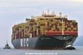 MSC Fatma (KB-D220225-01).jpg