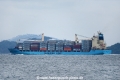 Maersk Wolgast OS-131016-10.jpg