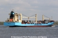 Maersk Vigo (SW-110407-06).jpg