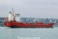Med Adriatic (OK-280114-3).jpg