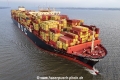 MSC Fatma KH-220225-4.jpg