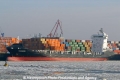Pengalia (JS-110109-01).jpg