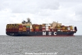 MSC Maxine JG-190726-3.jpg