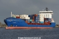 Pictor J (OK-070115-0).jpg