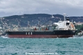 IVS Magpie (OK-260918-4).jpg