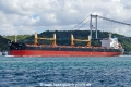 Themis (OK-110923-2).jpg