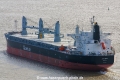 Japin Arrow (MM-080314-3).jpg
