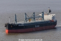 Japin Arrow (MM-080314-1).jpg