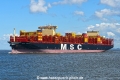 MSC Viola JG-110626-2.jpg