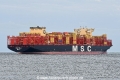 MSC Viola JG-080626-3.jpg