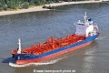 Murray Star 110923-2.jpg