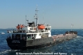 Octopus (LW-100613-07).jpg