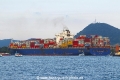 Maersk Yangtze RV-070222-06.jpg