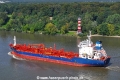 Murray Star 110923-9.jpg