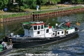 Seeloewe (OK-130519-1).jpg