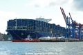 CMA CGM Georg Forster 090715-46.jpg