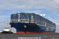 CMA CGM Georg Forster 090715-20.jpg