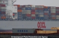 OOCL-COSCO 84042.jpg