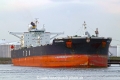 Archangel (MM-130412-1).jpg