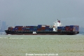APL Bahrain (MS-191010-12).jpg