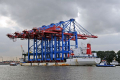 Zhen Hua 8 190908-05.jpg