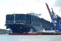 CMA CGM Georg Forster 090715-47.jpg