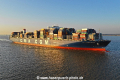 CMA CGM Georg Forster KH-111018-5.jpg