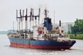 Anteos (OS-FN798-3).jpg
