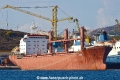 Armonia TJ-260917-002.jpg