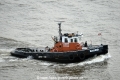 Salmo 231014.jpg