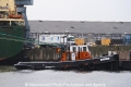 Salmo 230811.jpg