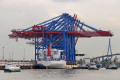 Zhen Hua 8 190908-21.jpg